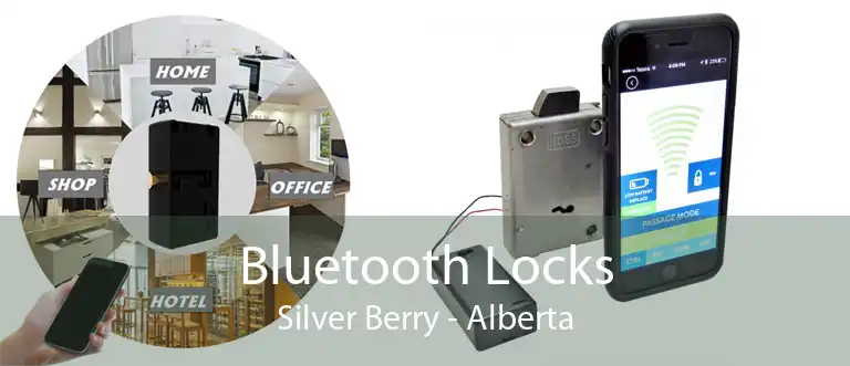 Bluetooth Locks Silver Berry - Alberta