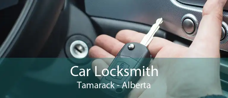 Car Locksmith Tamarack - Alberta