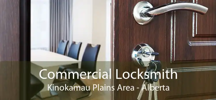 Commercial Locksmith Kinokamau Plains Area - Alberta