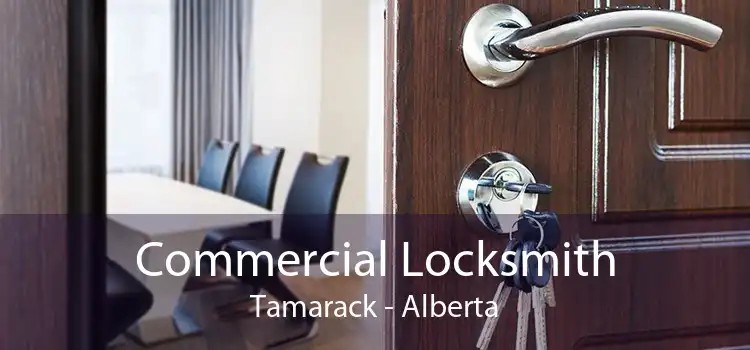 Commercial Locksmith Tamarack - Alberta