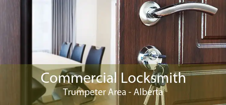 Commercial Locksmith Trumpeter Area - Alberta