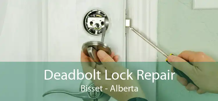 Deadbolt Lock Repair Bisset - Alberta
