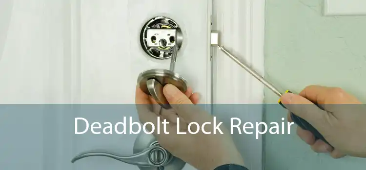 Deadbolt Lock Repair 