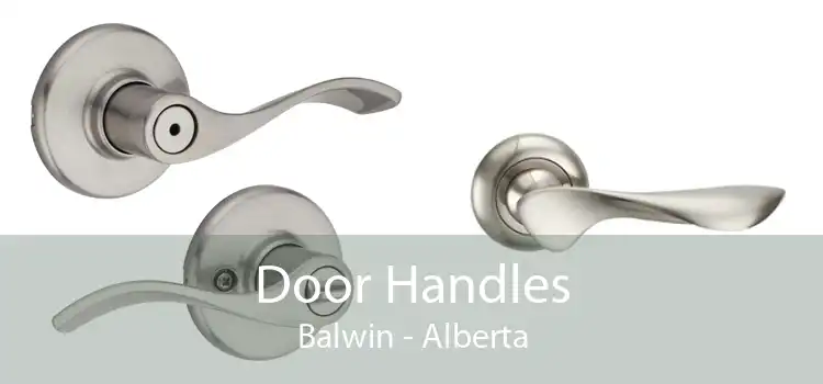 Door Handles Balwin - Alberta