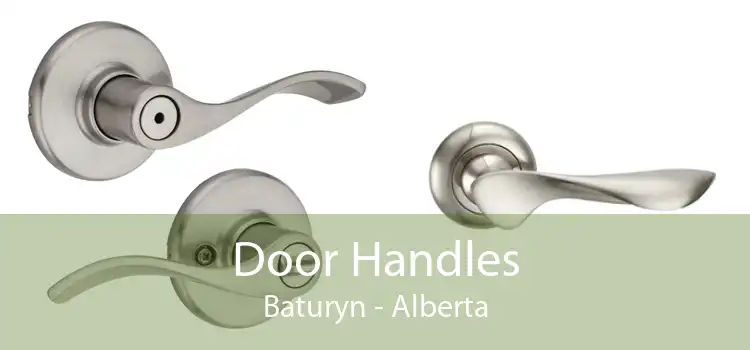 Door Handles Baturyn - Alberta