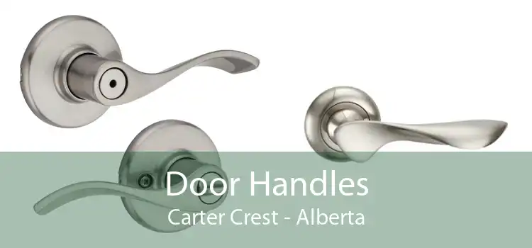 Door Handles Carter Crest - Alberta