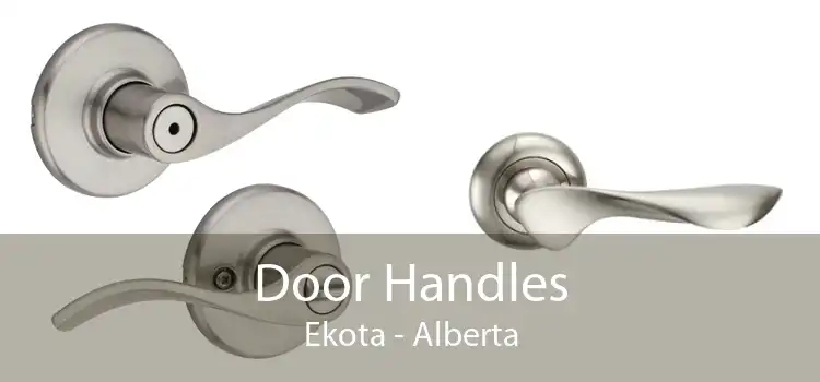 Door Handles Ekota - Alberta
