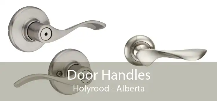 Door Handles Holyrood - Alberta