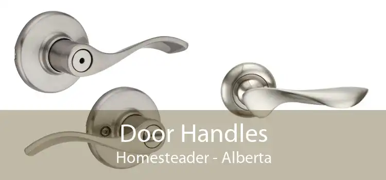 Door Handles Homesteader - Alberta