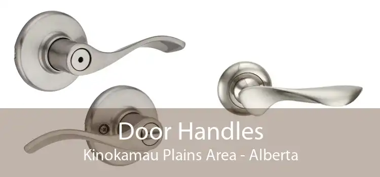 Door Handles Kinokamau Plains Area - Alberta