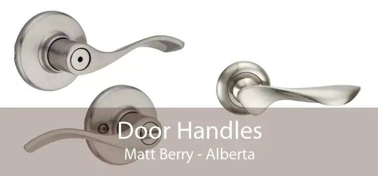Door Handles Matt Berry - Alberta