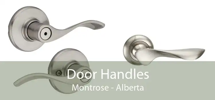 Door Handles Montrose - Alberta