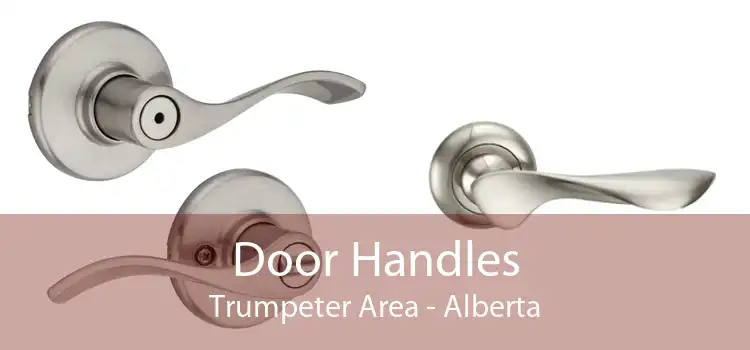 Door Handles Trumpeter Area - Alberta