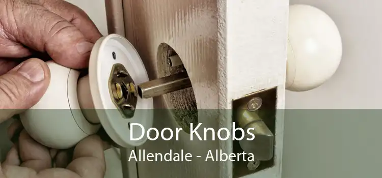 Door Knobs Allendale - Alberta
