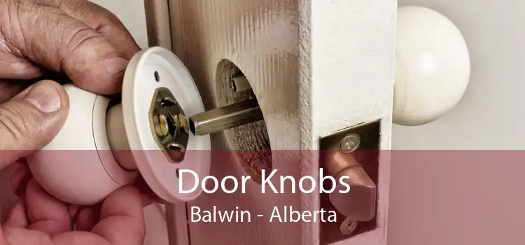 Door Knobs Balwin - Alberta