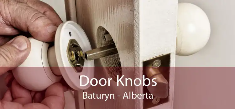 Door Knobs Baturyn - Alberta