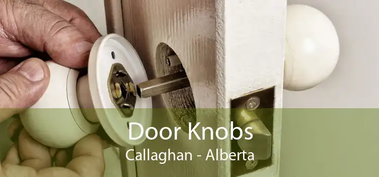 Door Knobs Callaghan - Alberta