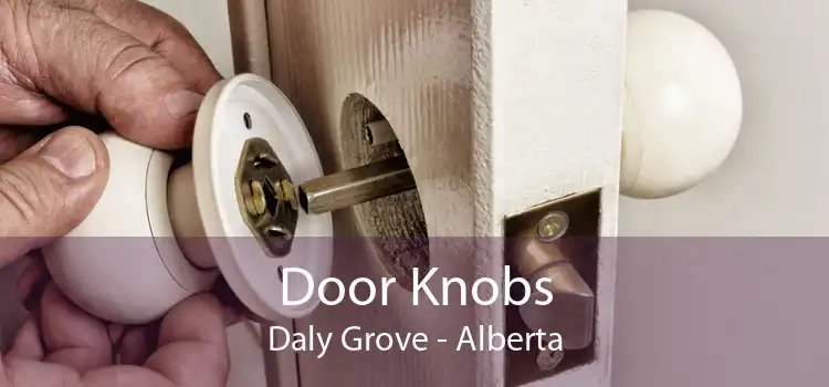 Door Knobs Daly Grove - Alberta