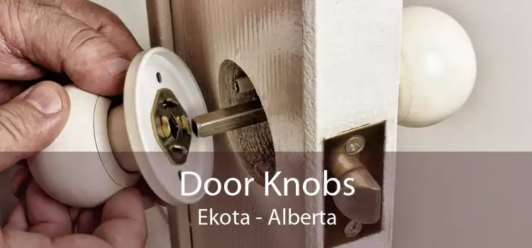 Door Knobs Ekota - Alberta
