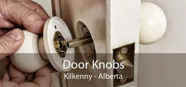Door Knobs Kilkenny - Alberta