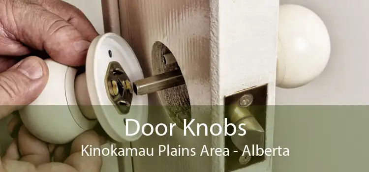 Door Knobs Kinokamau Plains Area - Alberta