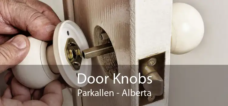 Door Knobs Parkallen - Alberta