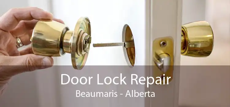 Door Lock Repair Beaumaris - Alberta