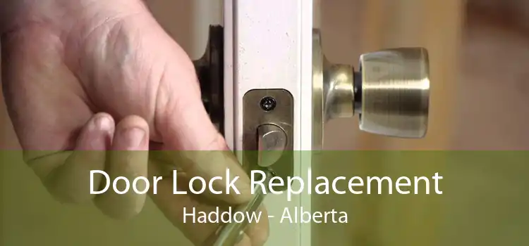 Door Lock Replacement Haddow - Alberta
