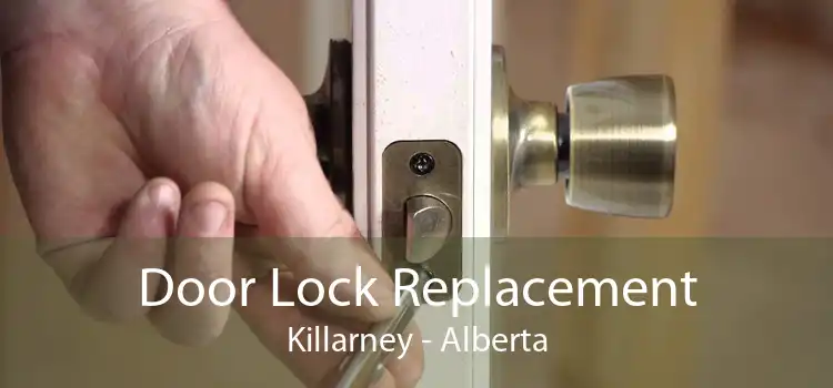 Door Lock Replacement Killarney - Alberta