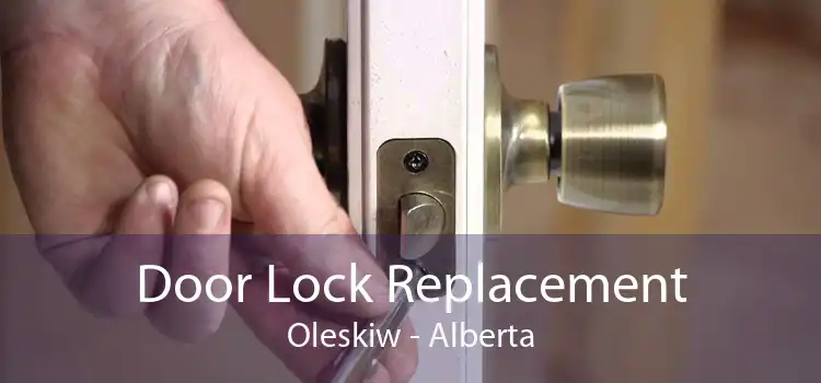 Door Lock Replacement Oleskiw - Alberta