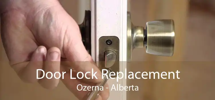 Door Lock Replacement Ozerna - Alberta