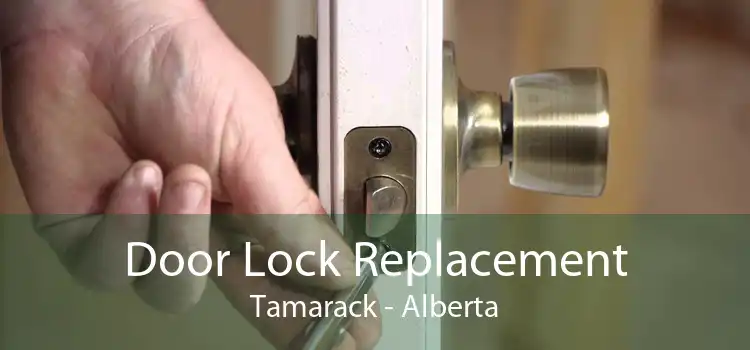 Door Lock Replacement Tamarack - Alberta