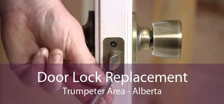 Door Lock Replacement Trumpeter Area - Alberta