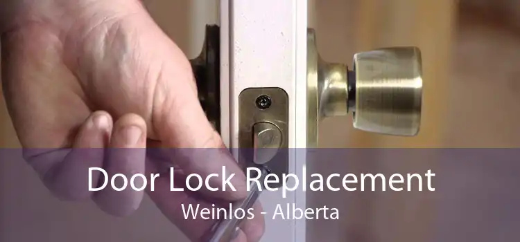 Door Lock Replacement Weinlos - Alberta