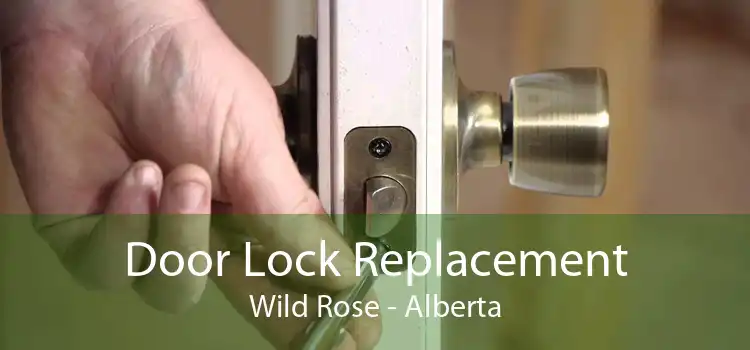 Door Lock Replacement Wild Rose - Alberta