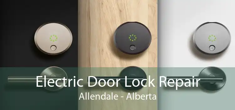 Electric Door Lock Repair Allendale - Alberta
