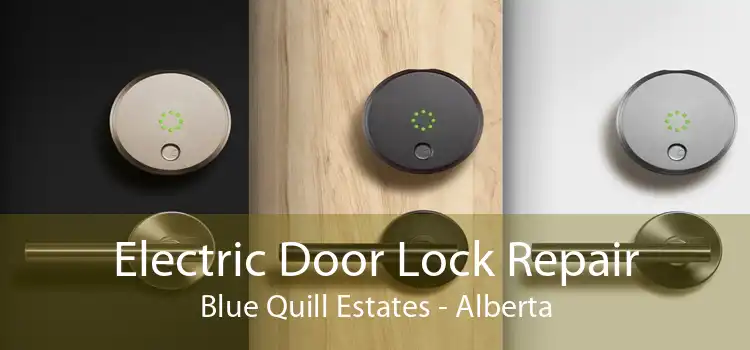 Electric Door Lock Repair Blue Quill Estates - Alberta
