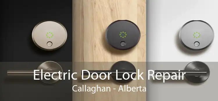Electric Door Lock Repair Callaghan - Alberta