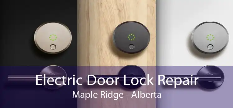 Electric Door Lock Repair Maple Ridge - Alberta