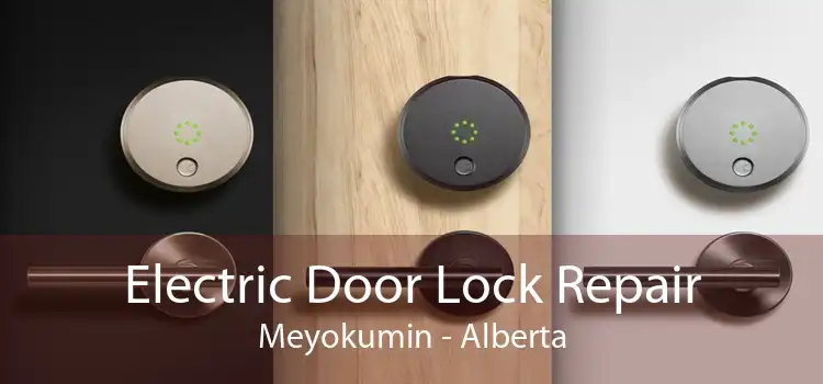 Electric Door Lock Repair Meyokumin - Alberta