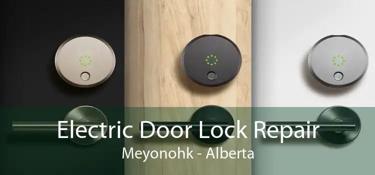 Electric Door Lock Repair Meyonohk - Alberta