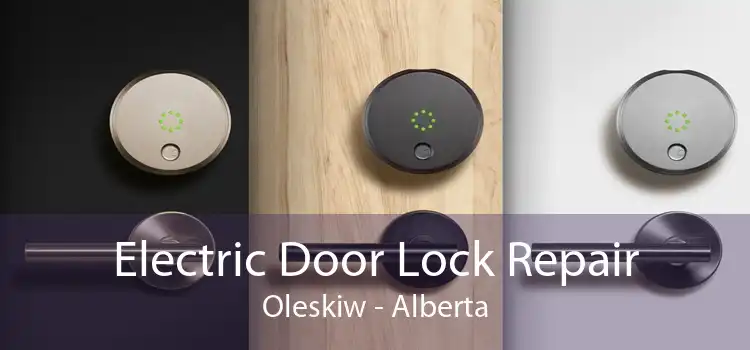 Electric Door Lock Repair Oleskiw - Alberta
