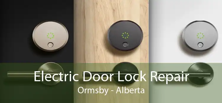 Electric Door Lock Repair Ormsby - Alberta