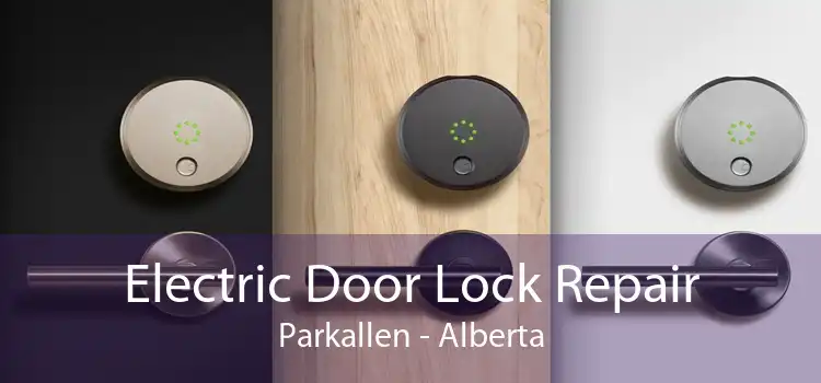 Electric Door Lock Repair Parkallen - Alberta