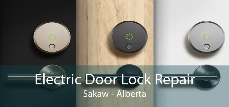 Electric Door Lock Repair Sakaw - Alberta