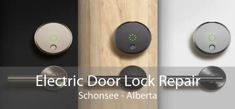 Electric Door Lock Repair Schonsee - Alberta