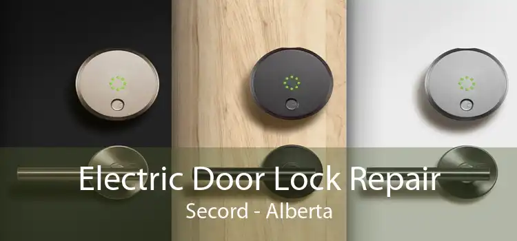 Electric Door Lock Repair Secord - Alberta