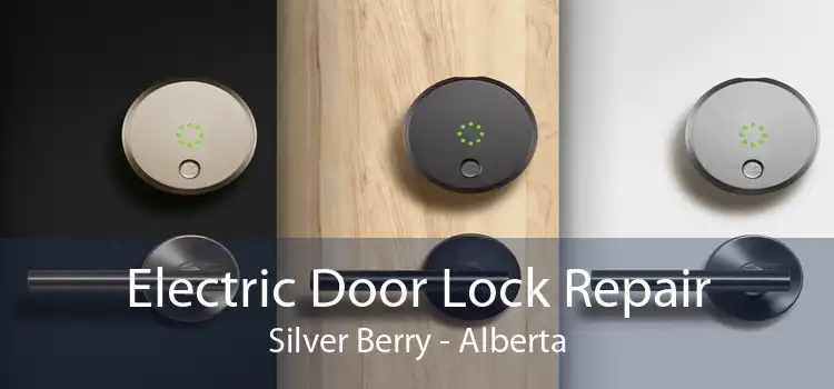 Electric Door Lock Repair Silver Berry - Alberta