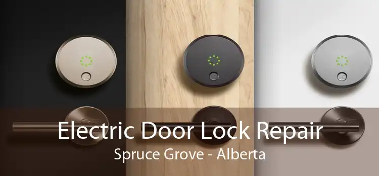 Electric Door Lock Repair Spruce Grove - Alberta