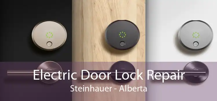 Electric Door Lock Repair Steinhauer - Alberta